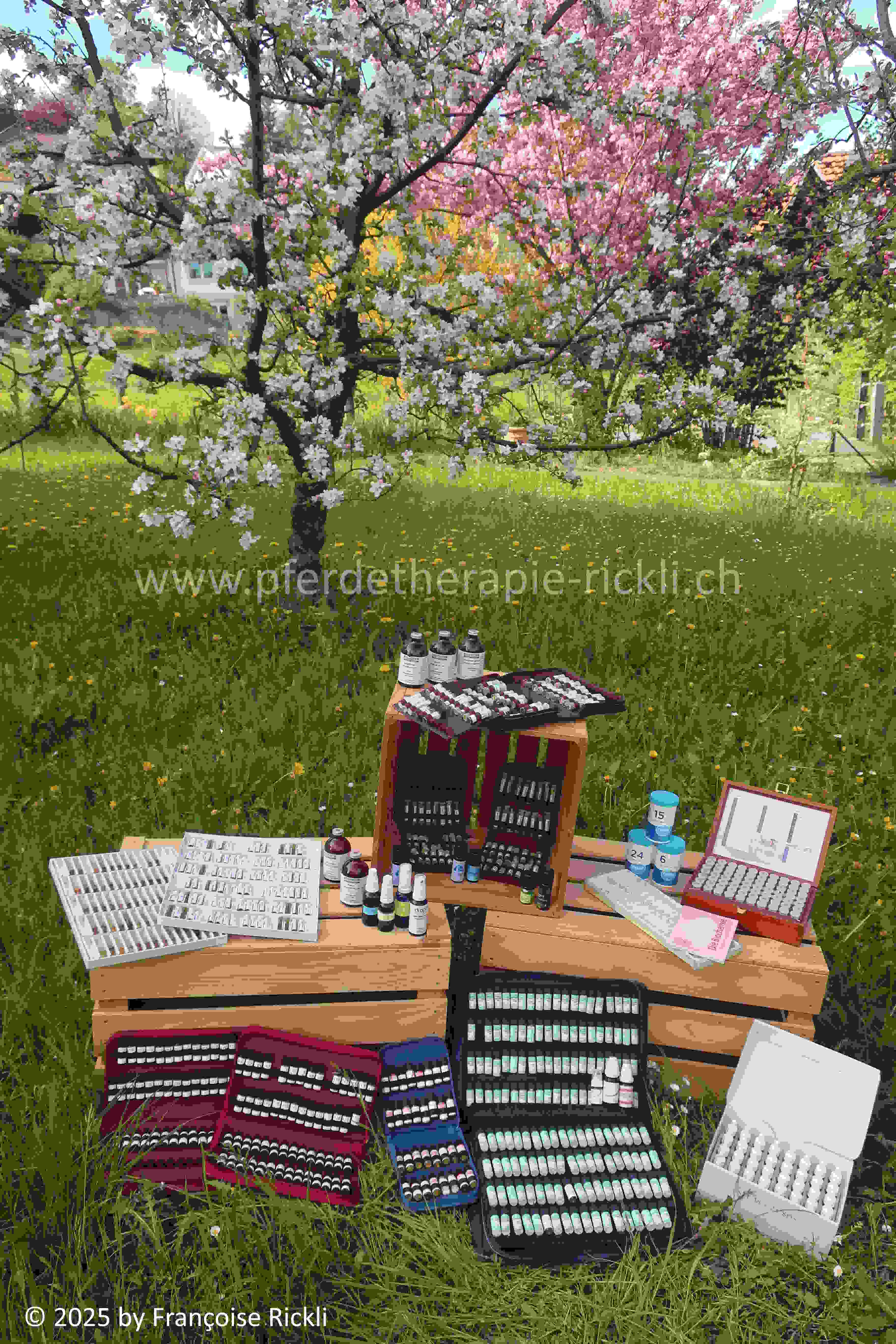 Futterzusatz, Mineralstoffe, Einzelkräuter, Kräutermischungen von Okapi und Pernaturam, Ceres Urtinkturen, ätherische Öle, homöopathische Mittel (Dr. Reckeweg), Spagyrik (Phylak Sachsen), Schüssler-Salze, Vitalpilze (Hawlik), Bachblüten